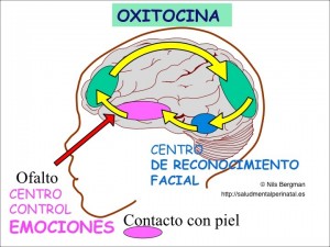 Diapositiva105