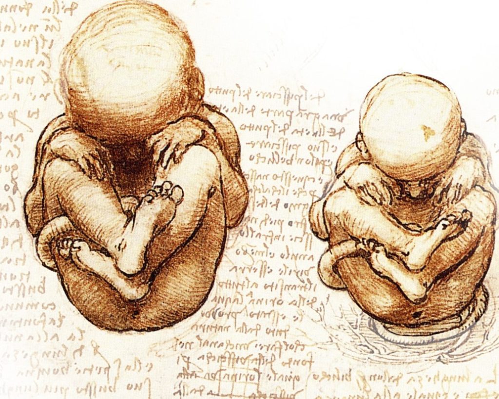 El origen prenatal del psiquismo y la consciencia

¿En que momento se inicia la construcción del psiquismo humano? ¿Qué huella o memoria nos deja lo que vivimos en el útero materno? ¿Cómo afecta el nacimiento al desarrollo psicológico? ¿Es posible sanar en la edad adulta los traumas de la vida intrauterina? La psicología prenatal lleva más de cien años intentando responder a estas apasionantes cuestiones. En este curso contaremos con la profesora Olga Gouni, una de las mayores expertas europeas en el este ámbito, que nos aportará sus conocimientos tanto sobre la historia de la psicología prenatal como sobre las aplicaciones en la clínica perinatal y en la psicoterapia.